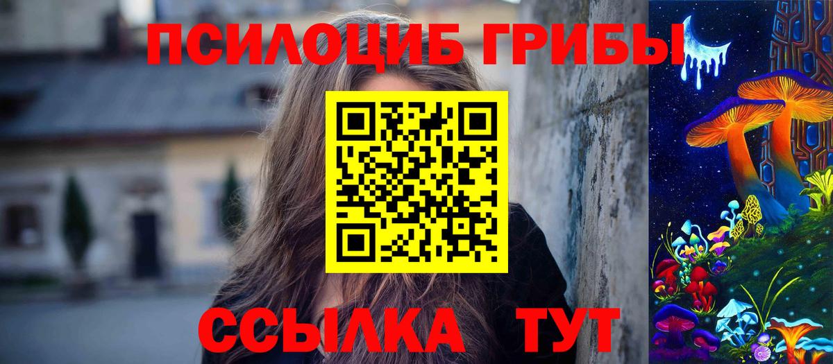 Будённовск  Галлюциногенные грибы мицелий  наркота  Вход с VPN 