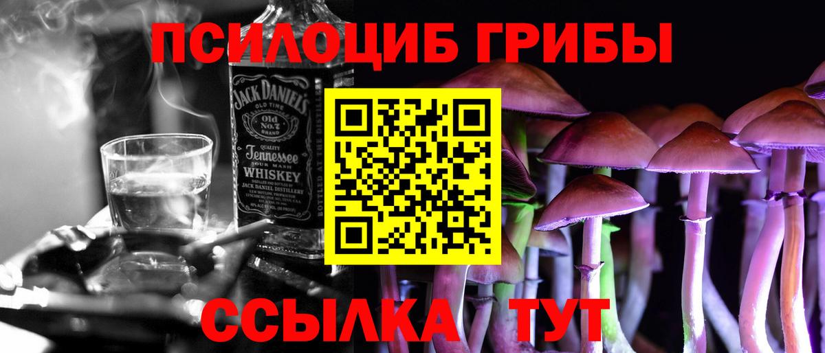 Галлюциногенные грибы Magic Shrooms  Будённовск  Галлюциногенные грибы мицелий 